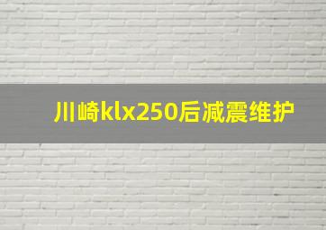 川崎klx250后减震维护