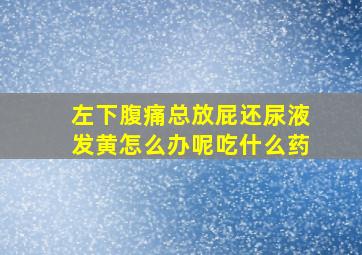 左下腹痛总放屁还尿液发黄怎么办呢吃什么药