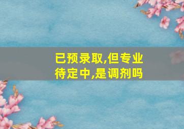 已预录取,但专业待定中,是调剂吗