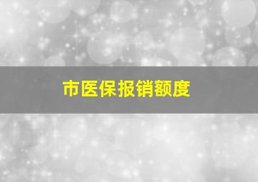 市医保报销额度