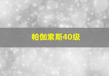 帕伽索斯40级