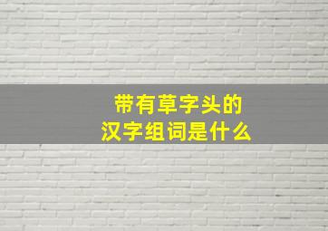 带有草字头的汉字组词是什么