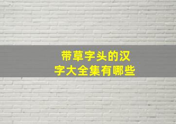 带草字头的汉字大全集有哪些