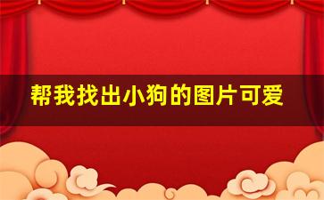 帮我找出小狗的图片可爱