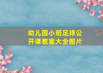 幼儿园小班足球公开课教案大全图片