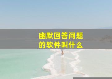 幽默回答问题的软件叫什么