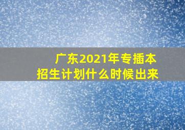 广东2021年专插本招生计划什么时候出来