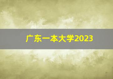 广东一本大学2023