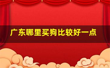 广东哪里买狗比较好一点