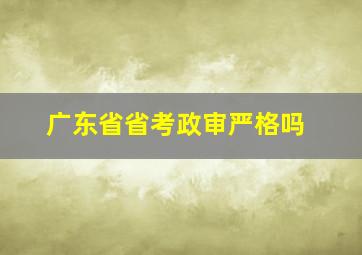 广东省省考政审严格吗