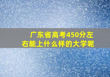 广东省高考450分左右能上什么样的大学呢