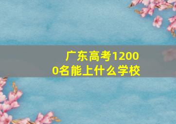 广东高考12000名能上什么学校