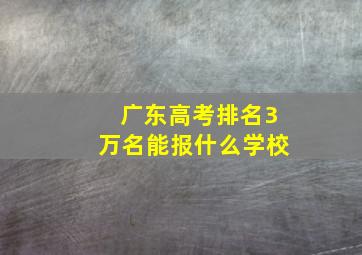 广东高考排名3万名能报什么学校