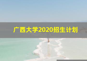 广西大学2020招生计划