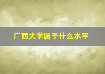 广西大学属于什么水平