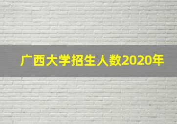 广西大学招生人数2020年