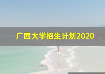 广西大学招生计划2020