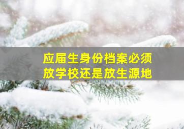 应届生身份档案必须放学校还是放生源地