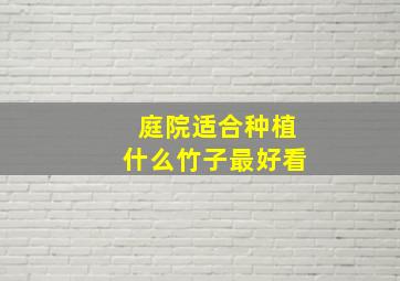 庭院适合种植什么竹子最好看