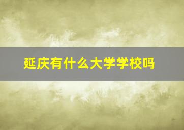 延庆有什么大学学校吗