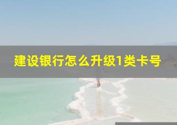 建设银行怎么升级1类卡号