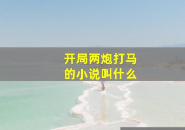 开局两炮打马的小说叫什么