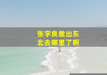 张学良撤出东北去哪里了啊