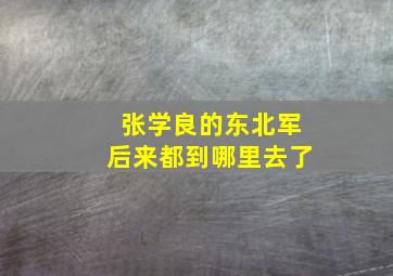 张学良的东北军后来都到哪里去了