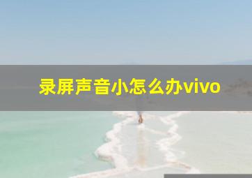 录屏声音小怎么办vivo