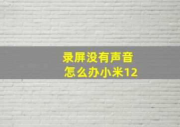 录屏没有声音怎么办小米12