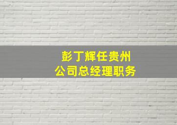 彭丁辉任贵州公司总经理职务