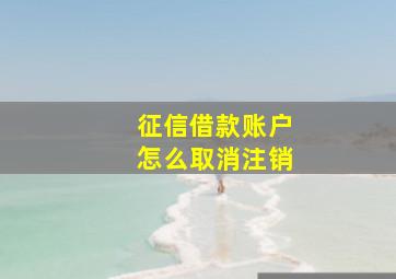 征信借款账户怎么取消注销