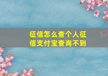 征信怎么查个人征信支付宝查询不到