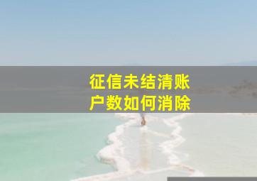 征信未结清账户数如何消除