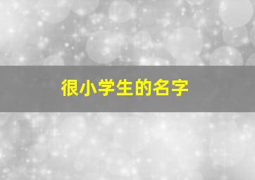 很小学生的名字