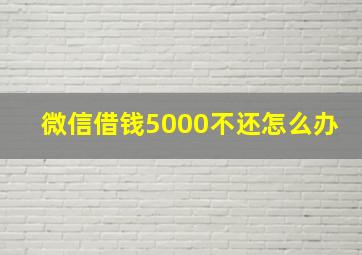 微信借钱5000不还怎么办