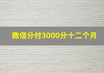 微信分付3000分十二个月