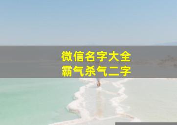 微信名字大全霸气杀气二字