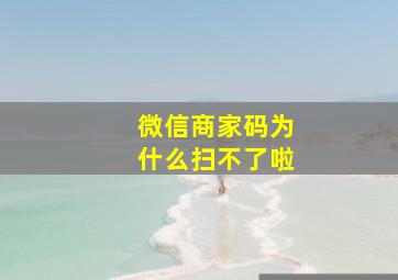 微信商家码为什么扫不了啦