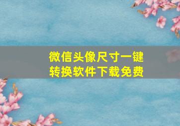 微信头像尺寸一键转换软件下载免费