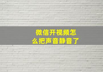 微信开视频怎么把声音静音了