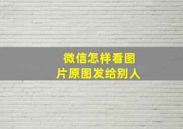 微信怎样看图片原图发给别人