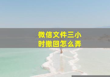 微信文件三小时撤回怎么弄