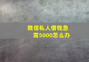 微信私人借钱急需5000怎么办