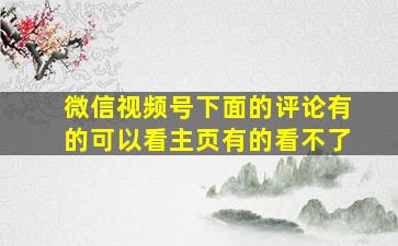 微信视频号下面的评论有的可以看主页有的看不了