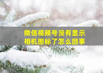 微信视频号没有显示相机图标了怎么回事