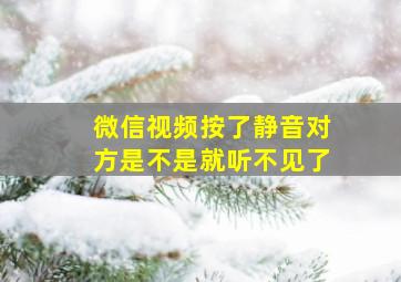 微信视频按了静音对方是不是就听不见了