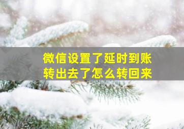 微信设置了延时到账转出去了怎么转回来