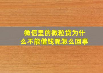 微信里的微粒贷为什么不能借钱呢怎么回事