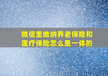 微信里缴纳养老保险和医疗保险怎么是一体的